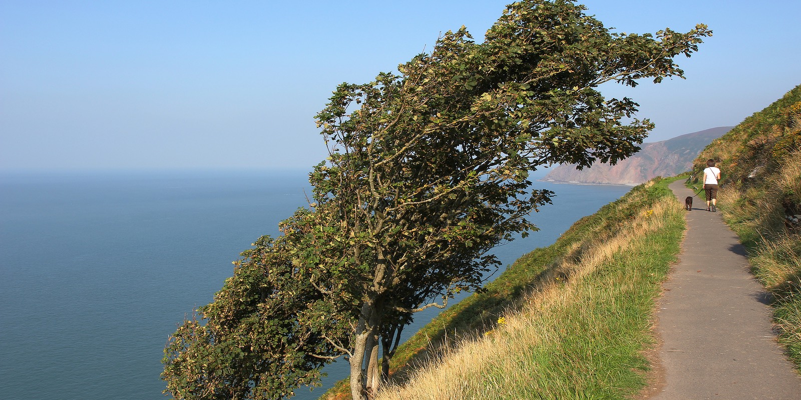 red lion oakford, restuarant exmoor, accommodation exmoor, pub exmoor, bed breakfast exmoor